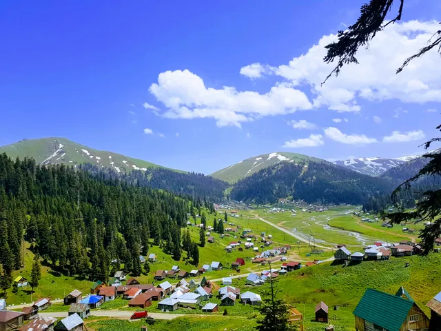 Bakhmaro, Georgia: The Mountain Resort Where the Air Smells of the Sea