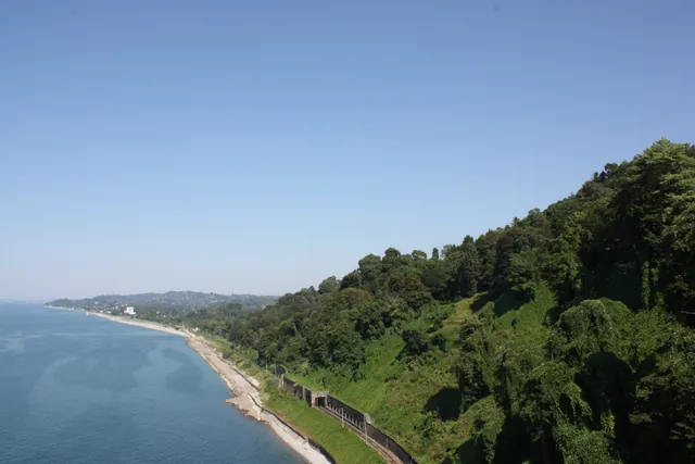 Batumi Botanical Garden: A Complete Visitor's Guide