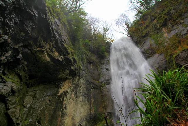 Makhuntseti Waterfall from below
