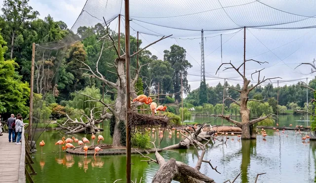Shekvetili Dendrological Park: History & How to Get There