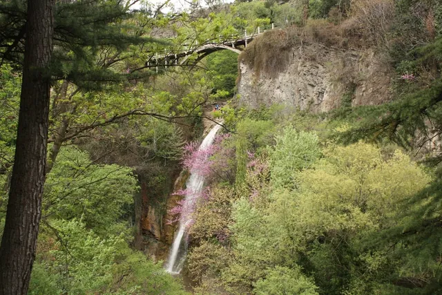 The Botanical Garden in Tbilisi: prices, entrances and a half-day route